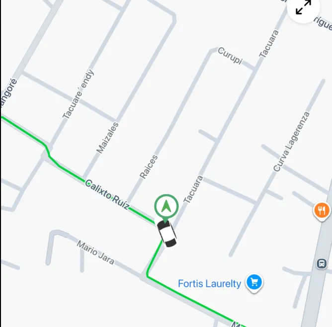 Screenshot: History playback with animated marker on route